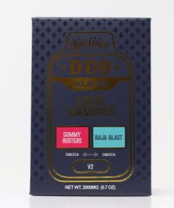 Big Chief Duo All-in-One 2g – Gummy Busters x Baja Blast