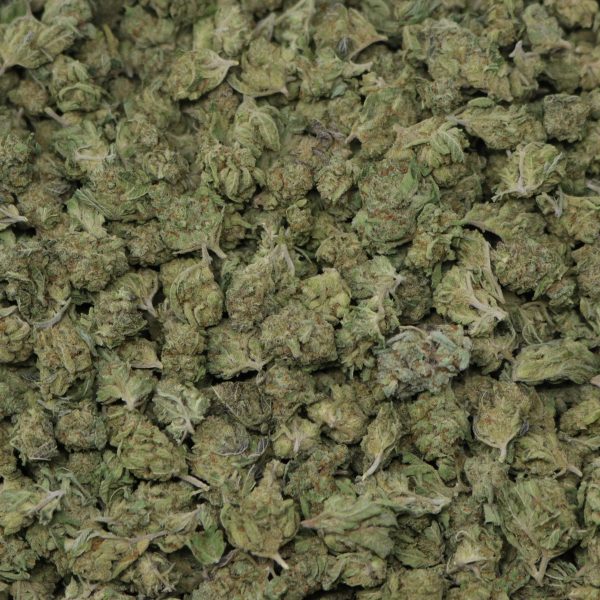 choppersmalls1-600x600