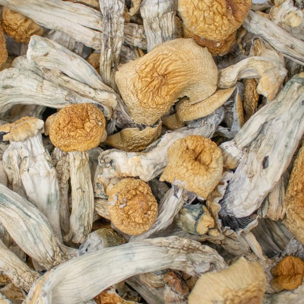 hill-billy-edit-2-600x600