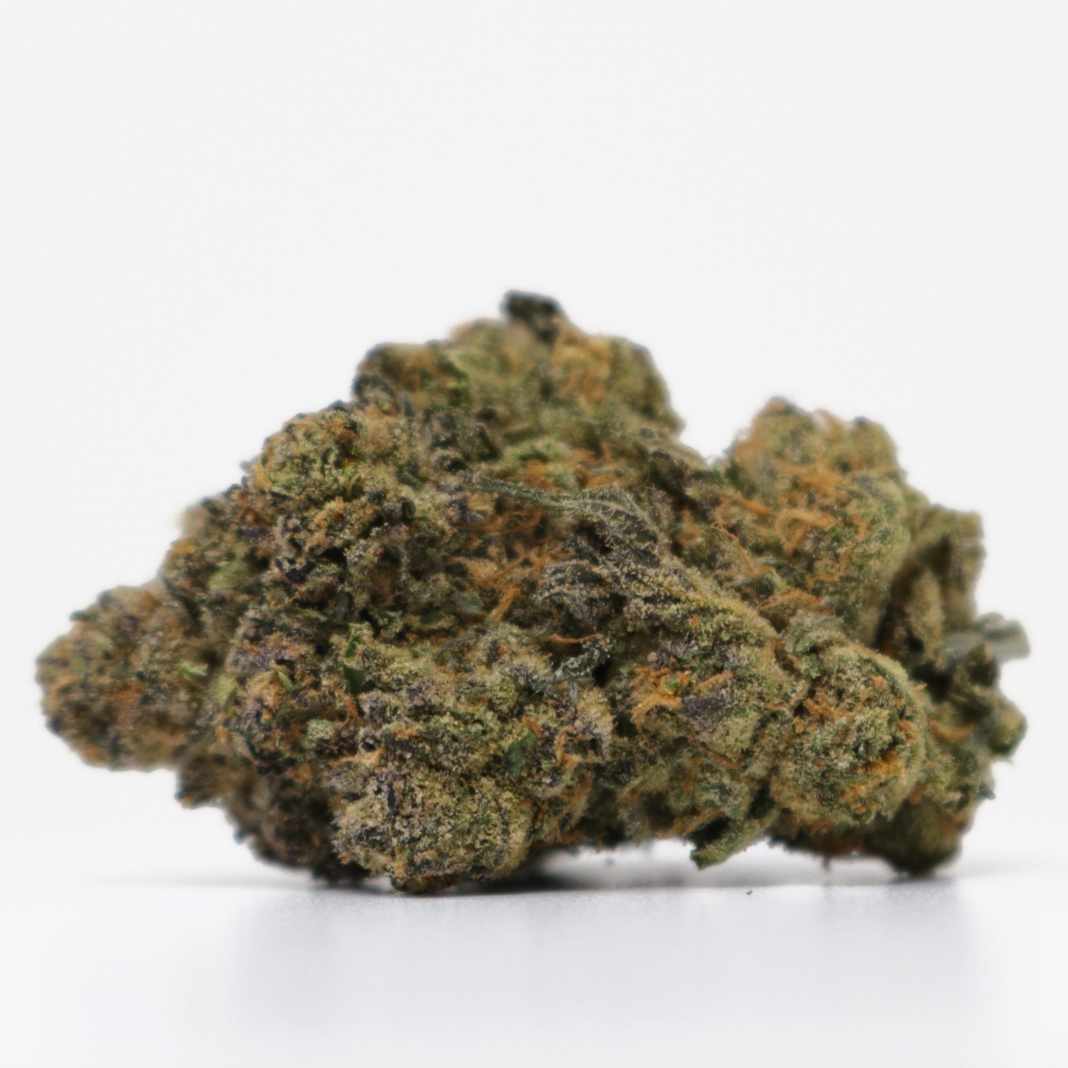 cheetahpiss3-1536x1536