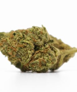 Gelato 33 – 1 LB