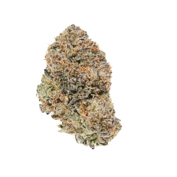 gelatoruntz3-600x600