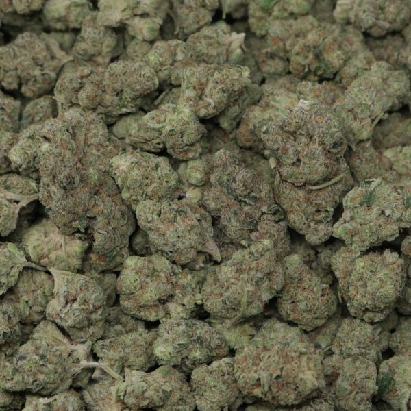 wct1-1536x1536-1-600x600