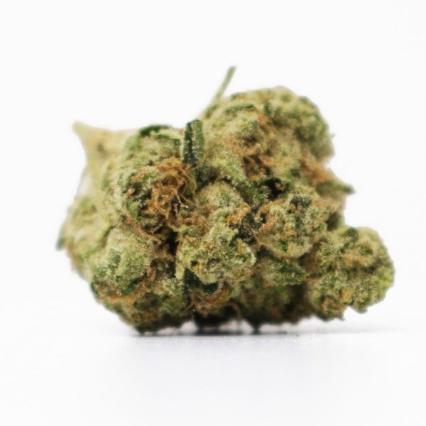 wct3-1536x1536-1-600x600